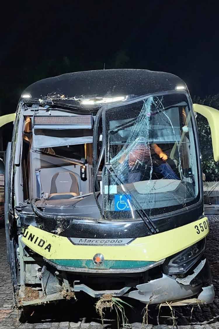 Ônibus com 40 passageiros sofre acidente na MGC-120 1 acidente mgc 120 2 divulgacao pmr