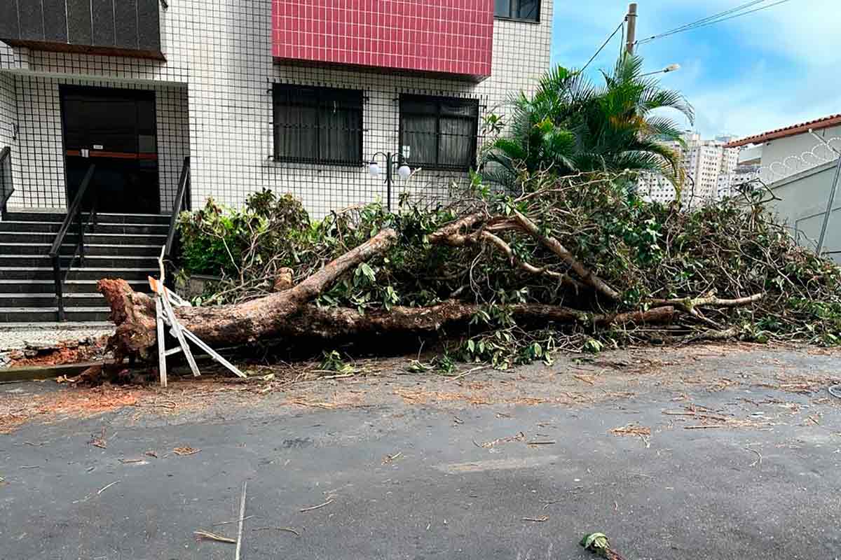 Tempestade com ventos de 92,16 km/h causam estragos em Juiz de Fora