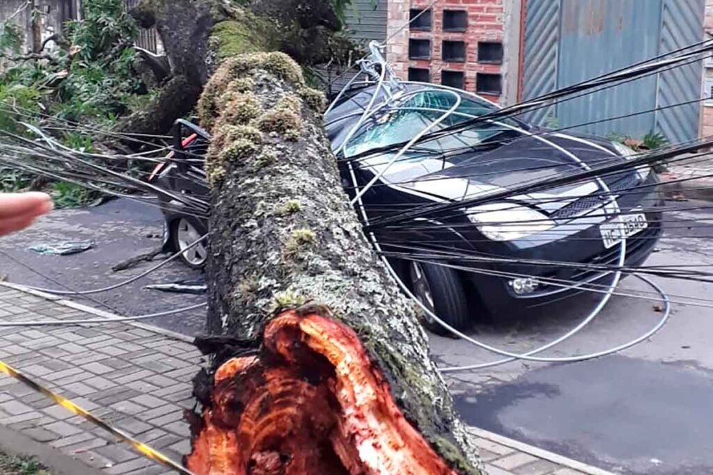 Com 33 ocorrências por causa da tempestade, JF tem mais da metade das chuvas previstas para outubro 6 Com 19 ocorrências por causa da tempestade, JF tem mais da metade das chuvas previstas para outubro