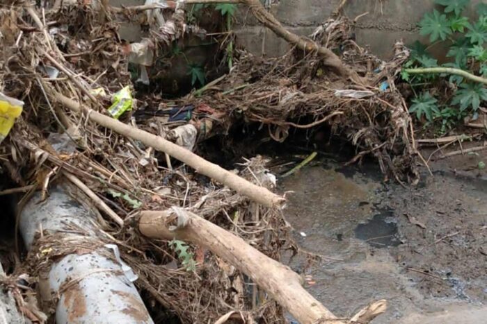 Córrego com acúmulo de lixo e galhos preocupa moradores na Zona Norte 1 vida urbana dia 18 de outubro
