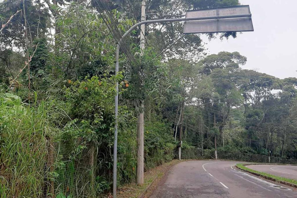 Falta de energia constante gera prejuízos para moradores 1 ARVORES Alameda Mello Reis Wendell Guiducci