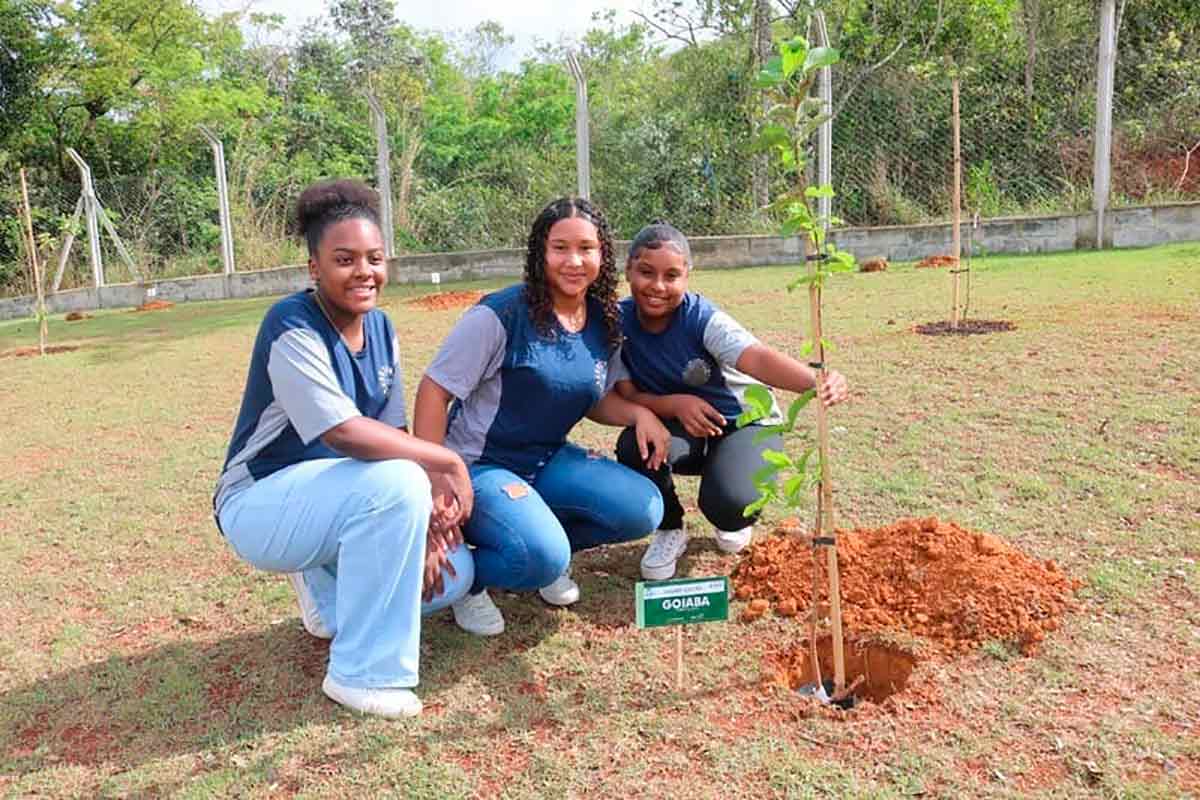 Inscrições para Programa Jovens Mineiros Sustentáveis do governo estão abertas 2 Inscrições para Programa Jovens Mineiros Sustentáveis do governo estão abertas
