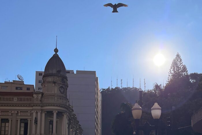Tempo volta a esquentar em Juiz de Fora e termômetro pode superar os 30 graus 1 Calor tempo foto Felipe Couri
