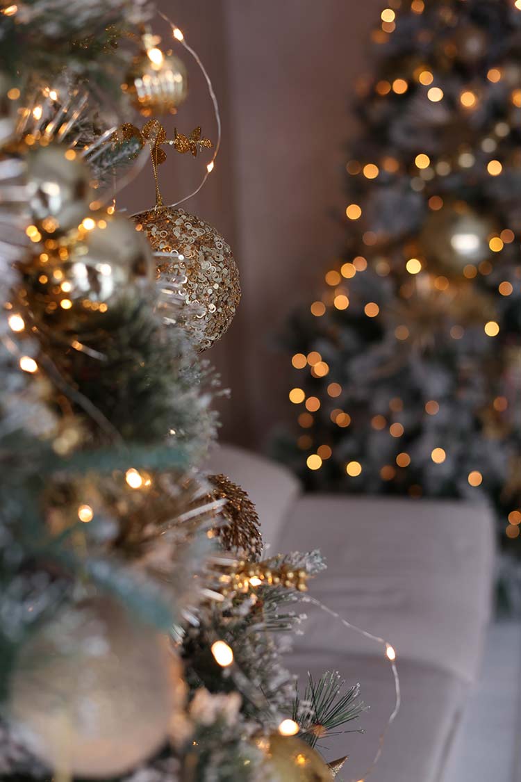 Saiba como economizar para a iluminação de Natal não encarecer a conta de luz 1 pisca pisca natal pexels 1