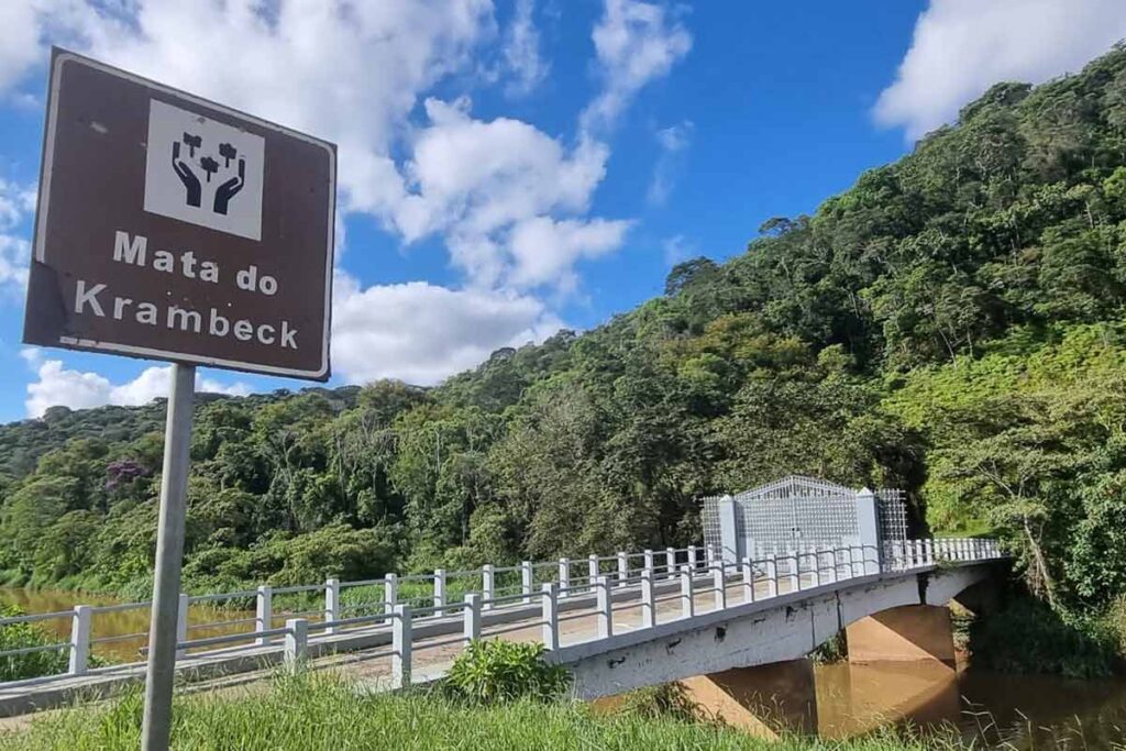 Plano de manejo do Parque Estadual Mata do Krambeck será feito pelo IEF em parceria com a UFJF 4 Mata do Krambeck Leonardo Costa