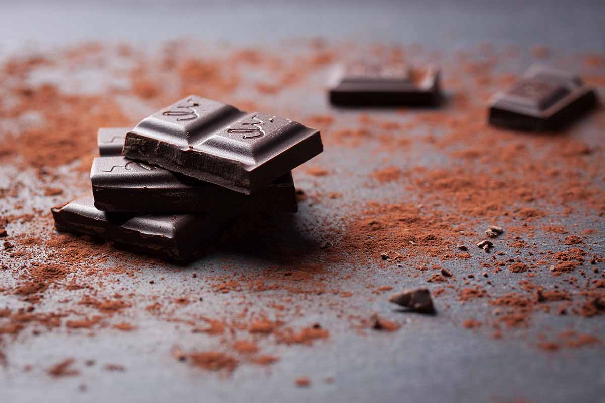 Chocolate amargo diminui fissura por cigarro em quem está tentando parar de fumar, diz estudo brasileiro 1 chocolate amargo freepik