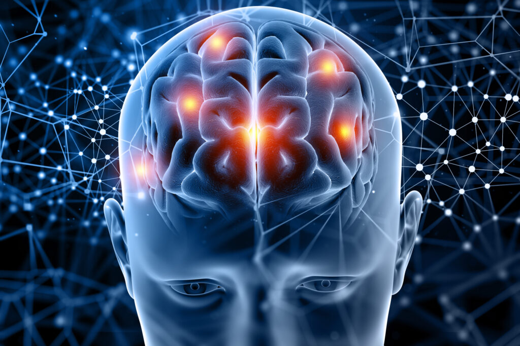 Tumor cerebral: quando a dor de cabeça pode ser sinal de alerta? 2 figura-medica-3d-com-destaque-do-cerebro transamérica