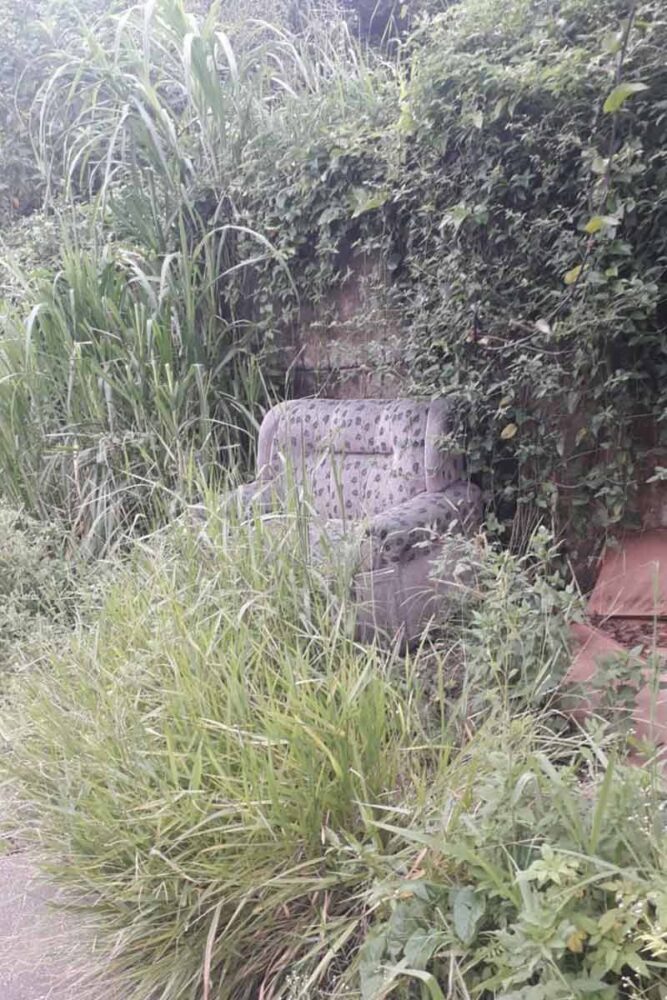 Espaços públicos aumentam riscos de proliferação do Aedes aegypti 2 aedes aegypti