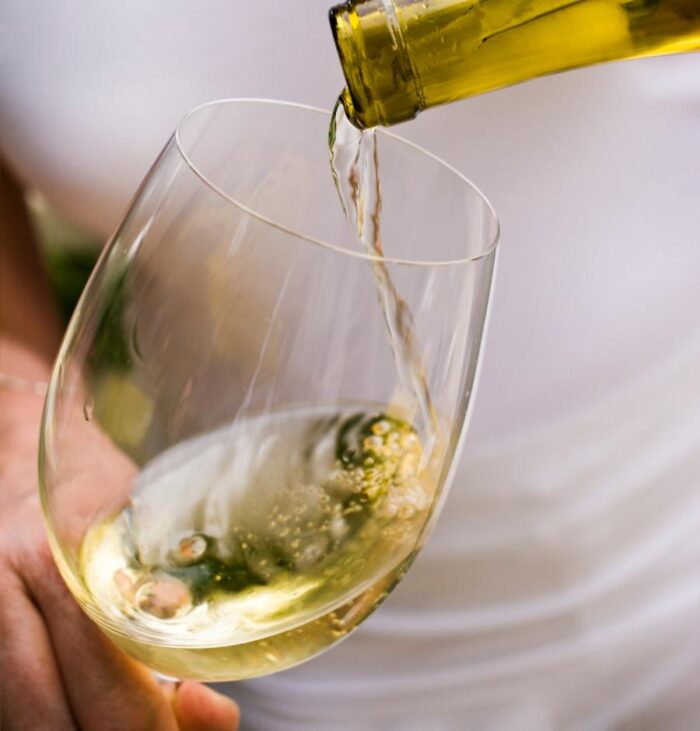 Branco, tinto, rosê: entenda as diferentes cores dos vinhos 7 Imagem do WhatsApp de 2024 02 18 as 00.26.34 7a95a413