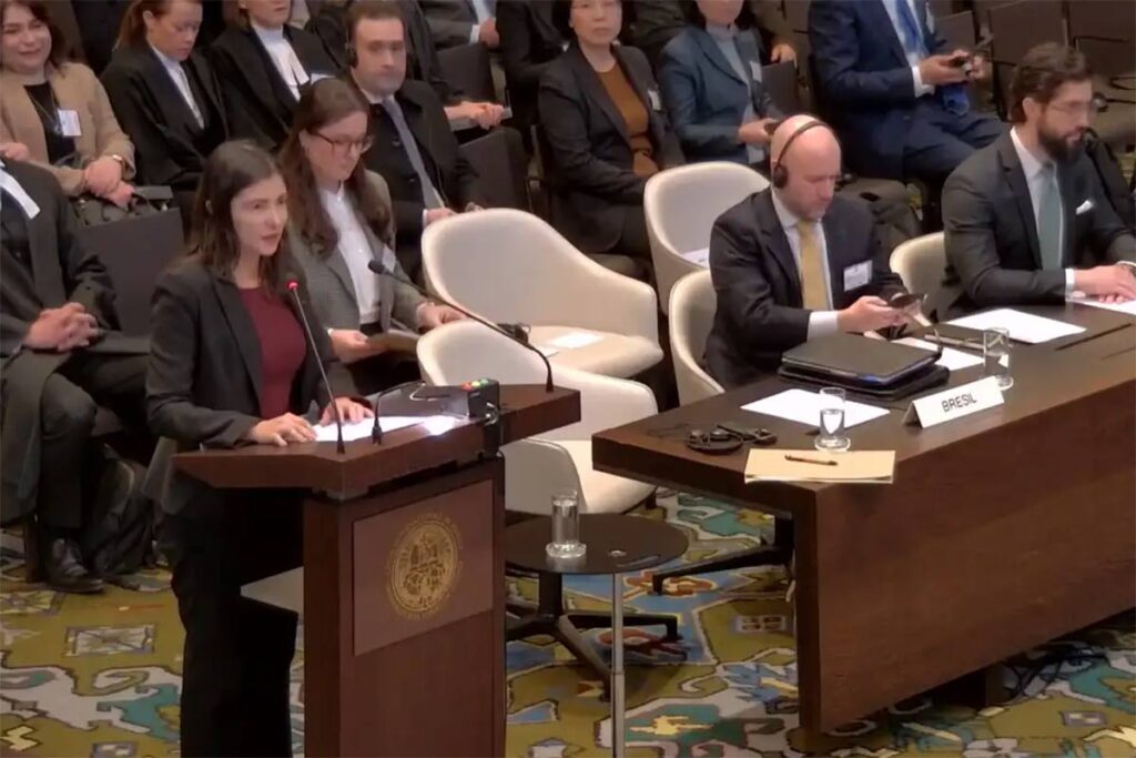 Brasil pede a tribunal da ONU que declare ocupação de Israel em territórios palestinos ilegal 1 Maria Clara de Paula Tusco Reproducao TV ONU Agencia Brasil