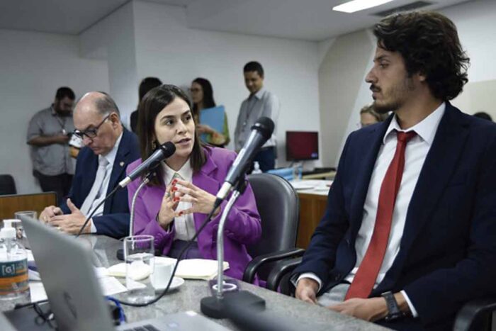 PL que incentiva contratação de mulheres vítimas de violência recebe parecer favorável na ALMG 1 PL Contratacao mulheres ALMG FOTO Guilherme Dardanhan
