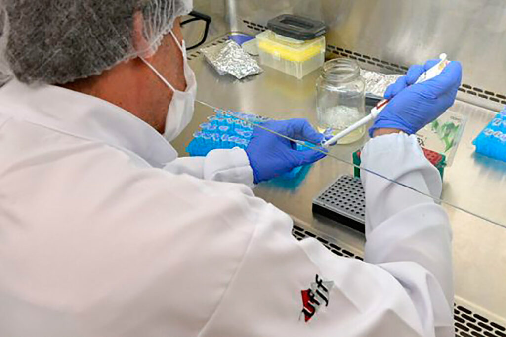 Conheça a febre Q, doença negligenciada que pode ser confundida com a dengue 1 laboratorio farmacia ufjf by alexandre dornellas ufjf editada