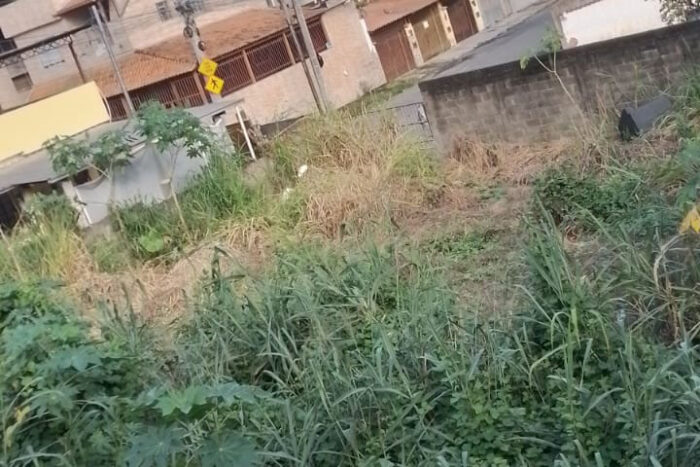 Lote abandonado deixa moradores inseguros em meio a casos de dengue 1 lote dengue vu21