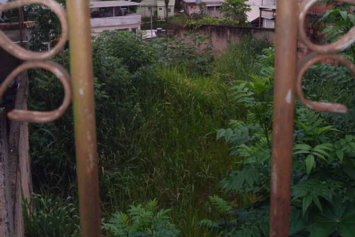 Moradores relatam preocupação com terreno abandonado em meio a casos de dengue 1 vu7