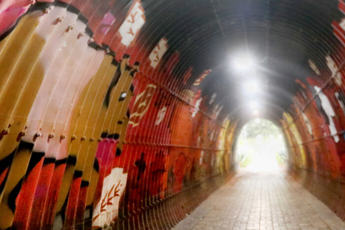 Confira 8 lugares instagramáveis em JF para deixar seu feed único 6 TUNEL SHOPPING 2