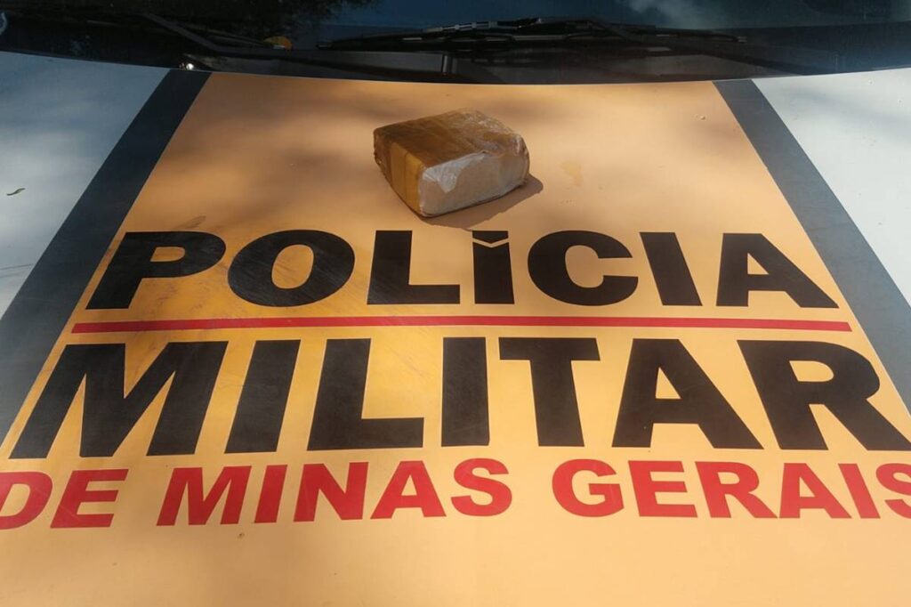 Mulher é presa com cocaína avaliada em R$ 60 mil em ônibus intermunicipal 1 cocaina mg 353 divulgacao pmr