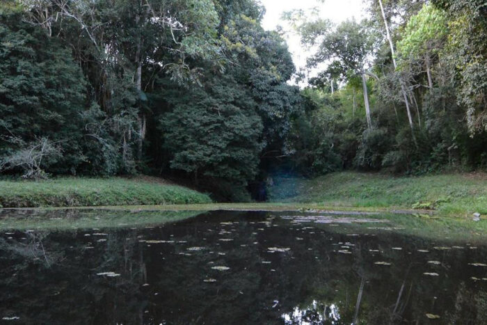 Plano de manejo do Parque Estadual Mata do Krambeck será feito pelo IEF em parceria com a UFJF 3 mata jf