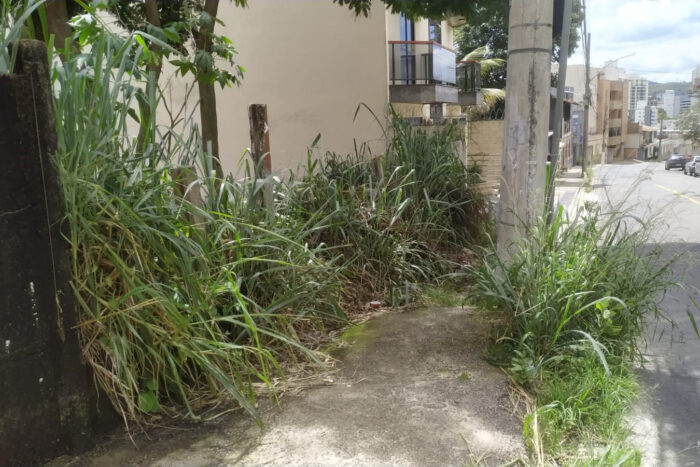 Calçada tomada por mato coloca população em risco no São Mateus 1 mato calcada vu12