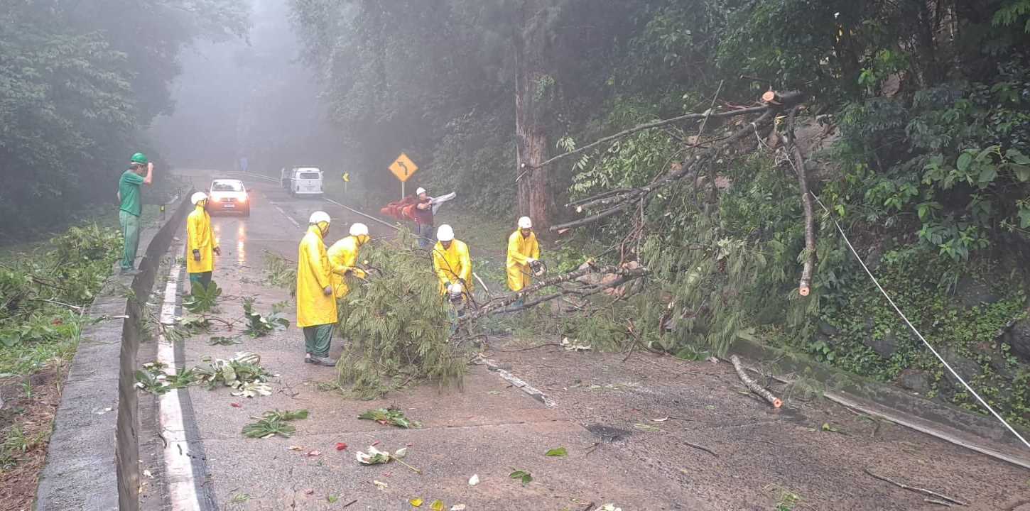 Subida da Serra de Petrópolis segue interditada e com risco de deslizamentos 2 subida serra de petropolis concer 5
