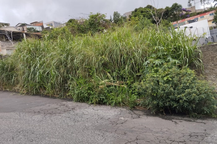 Terreno abandonado perto de escola preocupa moradores do Jardim Casablanca 1 vu22 terreno