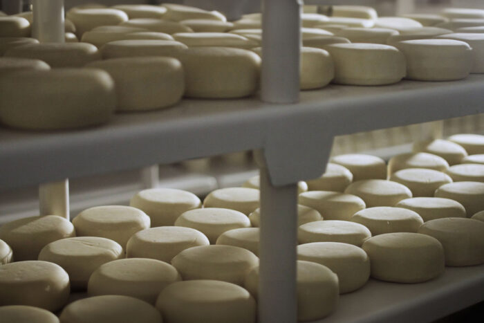 Empresa de laticínios de Juiz de Fora é ouro no Mundial do Queijo 1 COALHADAS queijo maturando