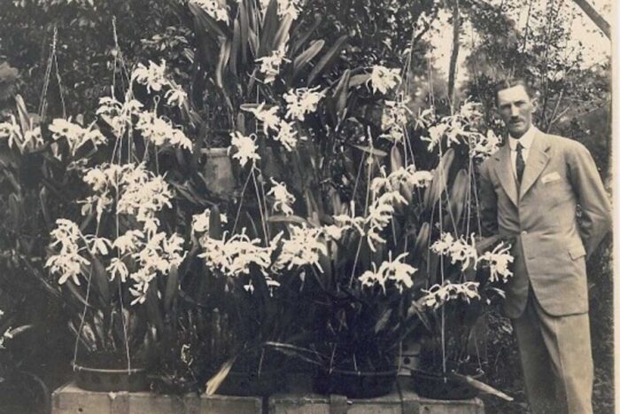 Quem foi Frederico Hoehne? Conheça o juiz-forano referência nos estudos de orquídeas 1 hoehne reproducao redes sociais