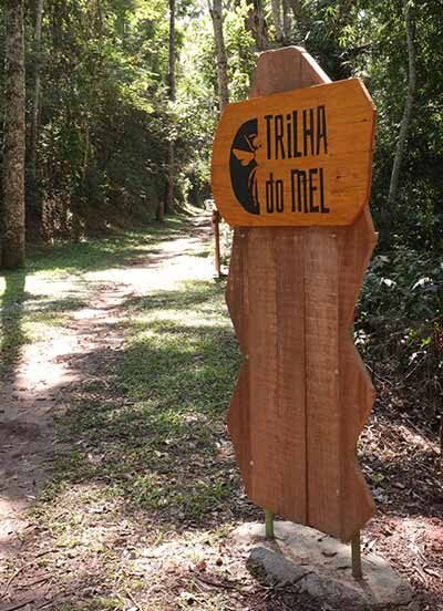 Jardim Botânico inaugura meliponário de abelhas nativas e orquidário 2 Jardim Botânico inaugura meliponário de abelhas nativas e orquidário