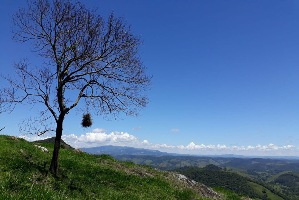 Fazenda Serra Boa Vista promove passeio agroecológico neste sábado 4 Fazenda Serra Boa Vista