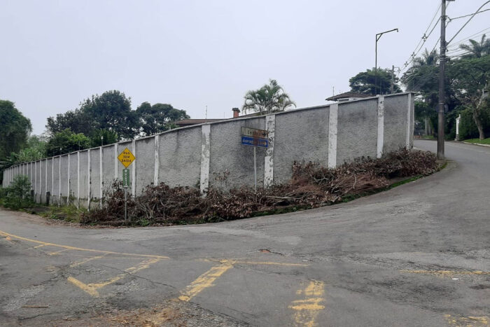 Galhos de árvore impedem passagem de pedestres no Jardim da Serra 1 Galhos de árvore impedem passagem de pedestres