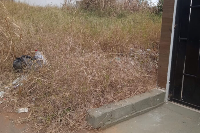 Terreno com mato alto gera riscos para moradores 1 vu 6
