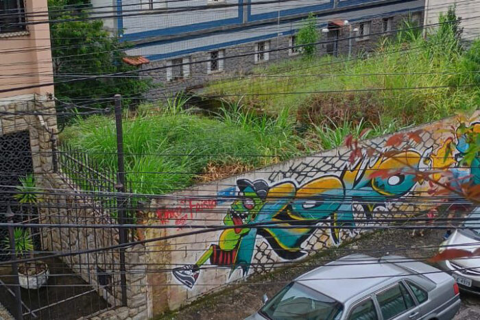 Terreno com mato alto preocupa moradores em meio a casos de dengue 1 vu terreno
