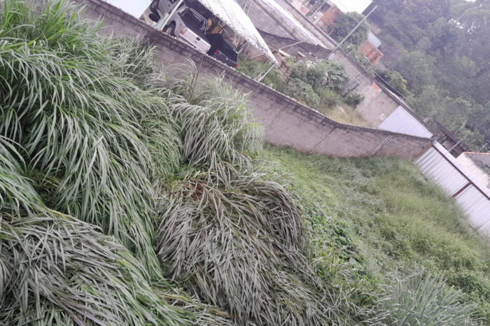 Mato e lixo em terreno preocupam vizinhança no Jardim dos Alfineiros 1 vu terreno mato 1