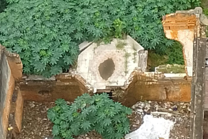 Mato e lixo em terreno do antigo Palacete no Centro preocupa moradores 1 vu palacete terreno mato lixo