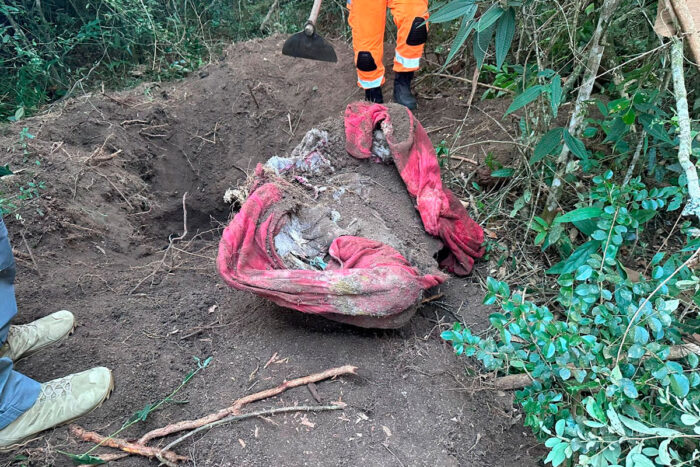 Casal é suspeito de matar comerciante, enterrar corpo e se esconder em mata por 3 meses 1 corpo encontrado