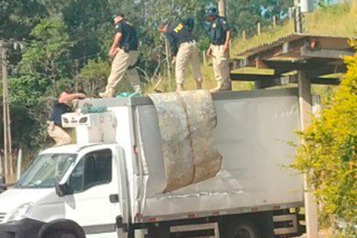 Trio é preso com pasta base de cocaína avaliada em R$ 12 milhões 1 apreensao pasta base prf divulgacao