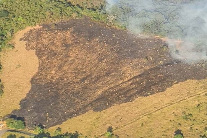 Incêndio no Bosque do Imperador assusta moradores 2 incêndio