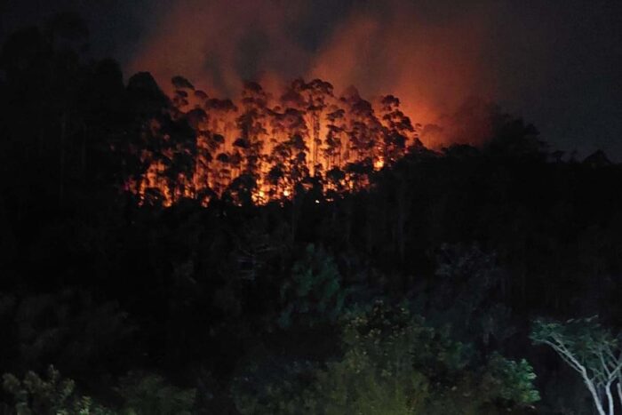 Incêndio no Bosque do Imperador assusta moradores 1 incêndio