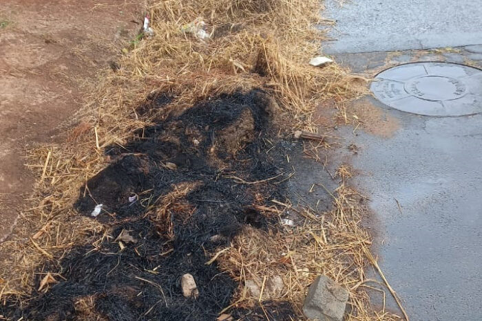 Acúmulo de lixo e vegetação gera riscos às margens de córrego 1 lixo corrego vu
