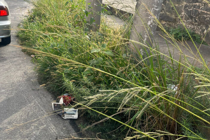 Calçada tomada por mato prejudica pedestres no Bairu 1 mato calcada vu 1