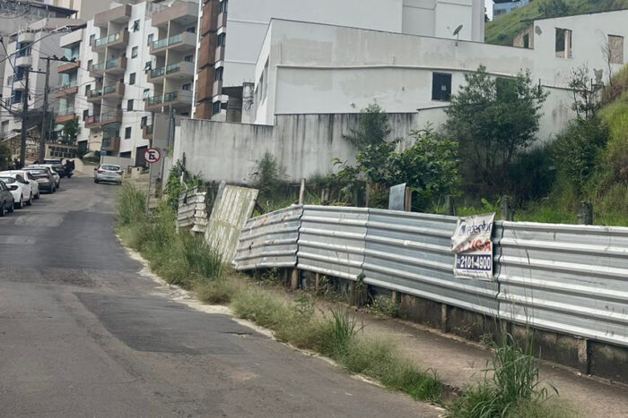 Calçada tomada pelo mato prejudica pedestres no São Mateus 1 mato calcada vu