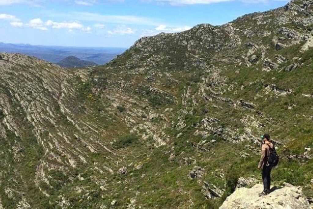 Duas novas espécies de plantas são descobertas em serra mineira 2 Duas novas espécies de plantas são descobertas em serra mineira