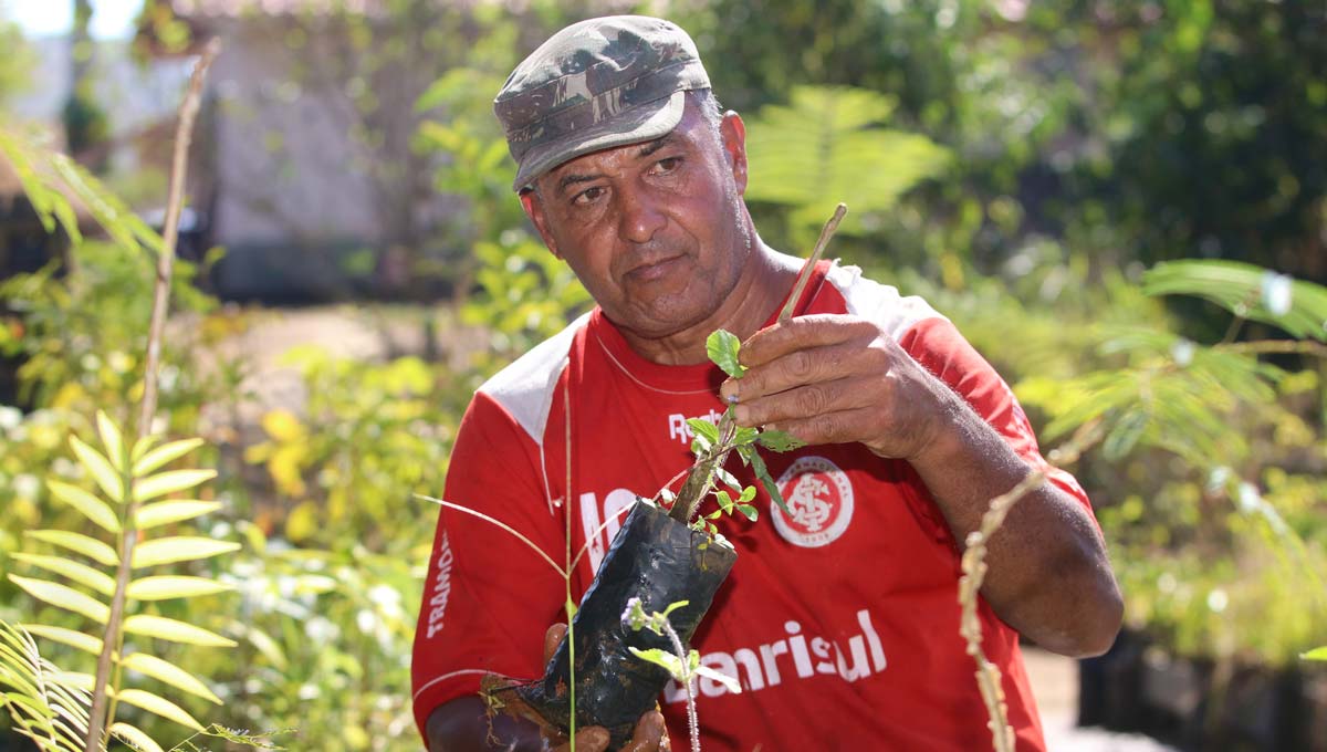 Cientistas trabalham para restaurar floresta e recuperar nascentes na Fazenda Experimental da UFJF 2 FAZENDA UFJF Felipe Couri 01