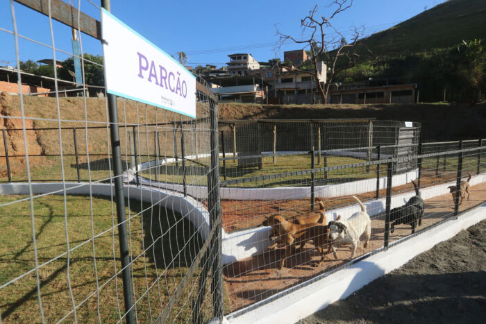 Canil Municipal passa por reforma com ampliação da capacidade 3 parcão canil municipal