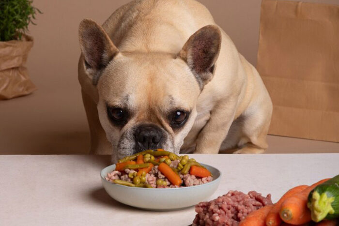 Confira sete vegetais para inserir na alimentação do cachorro 1 vegetais