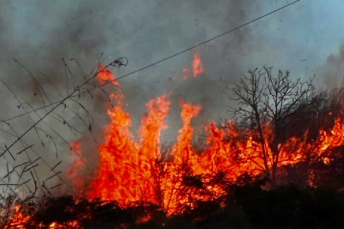VÍDEO: Atriz Lúcia Veríssimo é socorrida após fazenda ser invadida e incendiada no interior de Minas 1 lucia verissimo