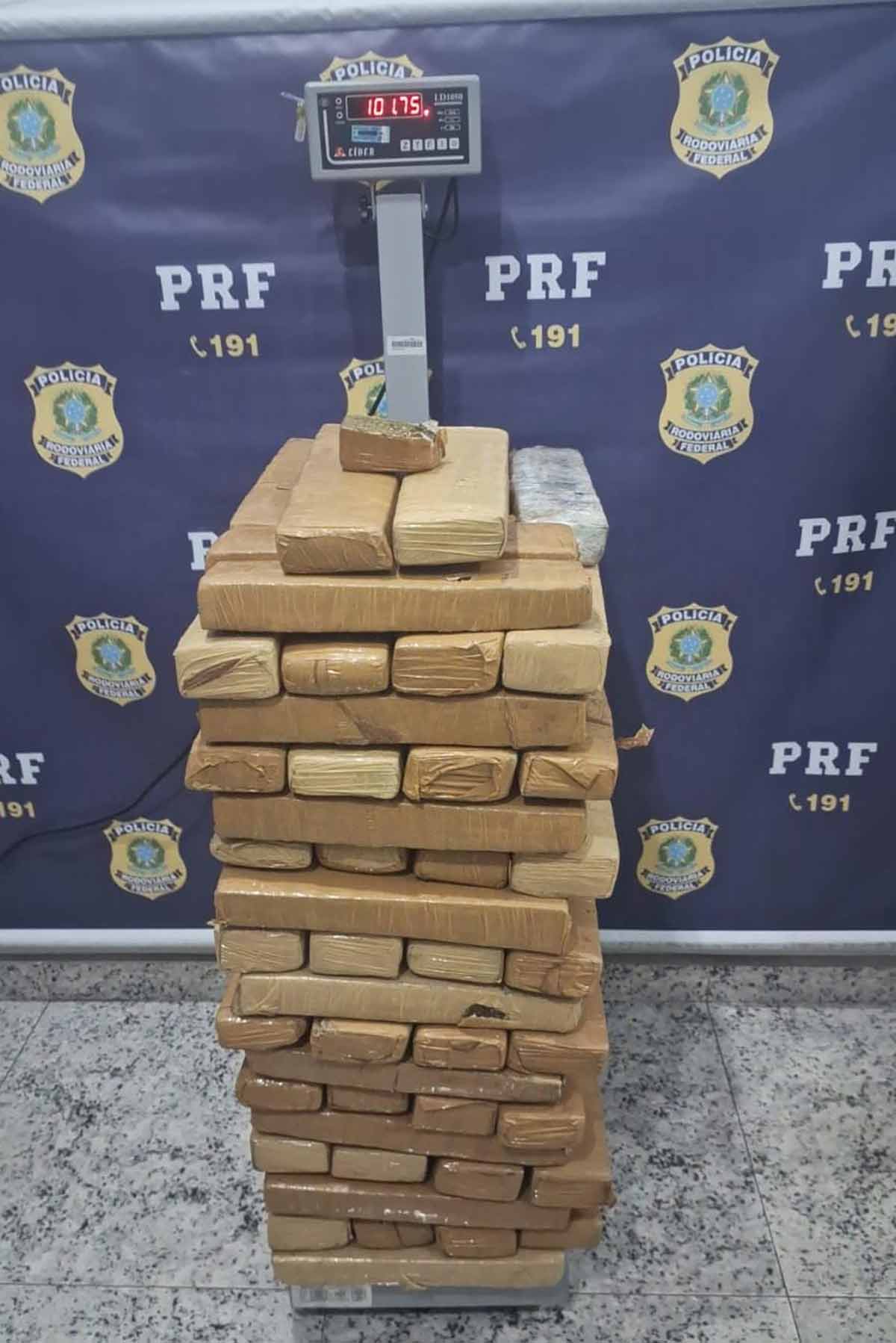 Morador se surpreende ao encontrar mais de 100 kg de maconha em sua casa 1 maconha encontrada em casa 2 divulgacao PRF