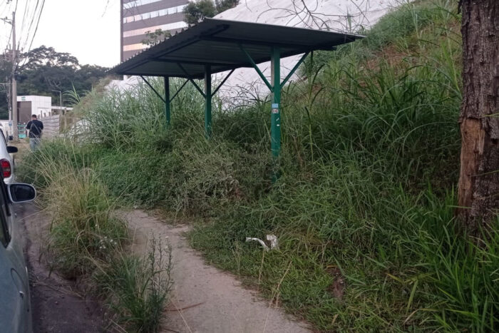 Ponto de ônibus tomado por mato preocupa pedestres 1 mato ponto de onibus vu