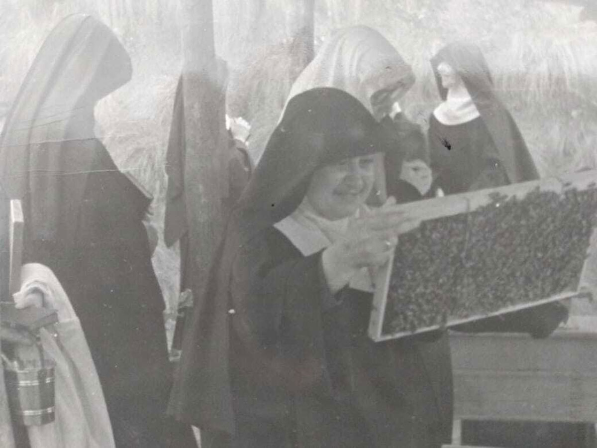 Mel da fé: monjas de Juiz de Fora praticam apicultura desde os anos 1960 2 monjas