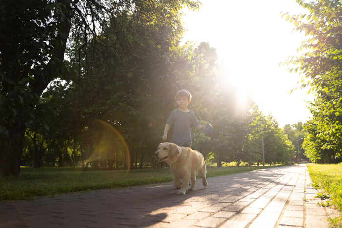 Confira 8 cuidados ao passear com o cachorro na rua 1 passeio cachorro by freepik