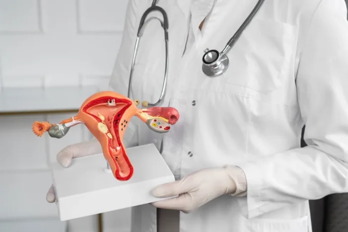 Reposição hormonal na menopausa tem relação com câncer? Médicos de JF explicam 1 reposicao hormonal cancer freepik